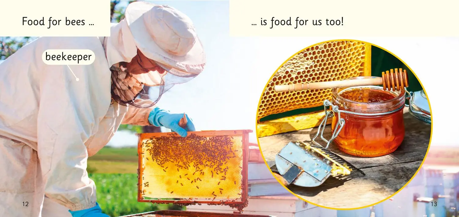 Bild: 9780008442217 | Bees! | Band 02b/Red B | Mio Debnam | Taschenbuch | Englisch | 2021