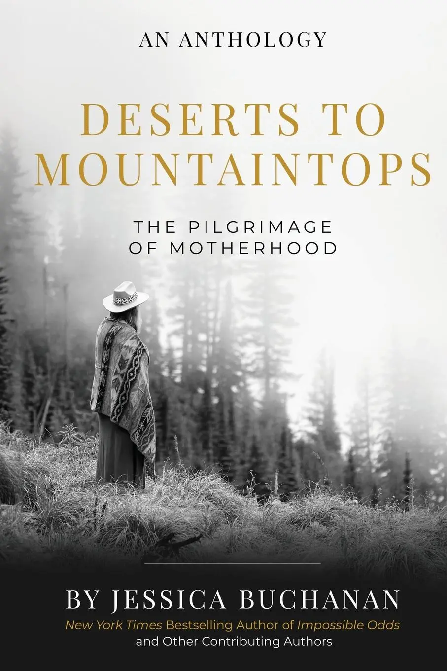 Cover: 9781958472217 | Deserts to Mountaintops | The Pilgrimage of Motherhood | Buchanan