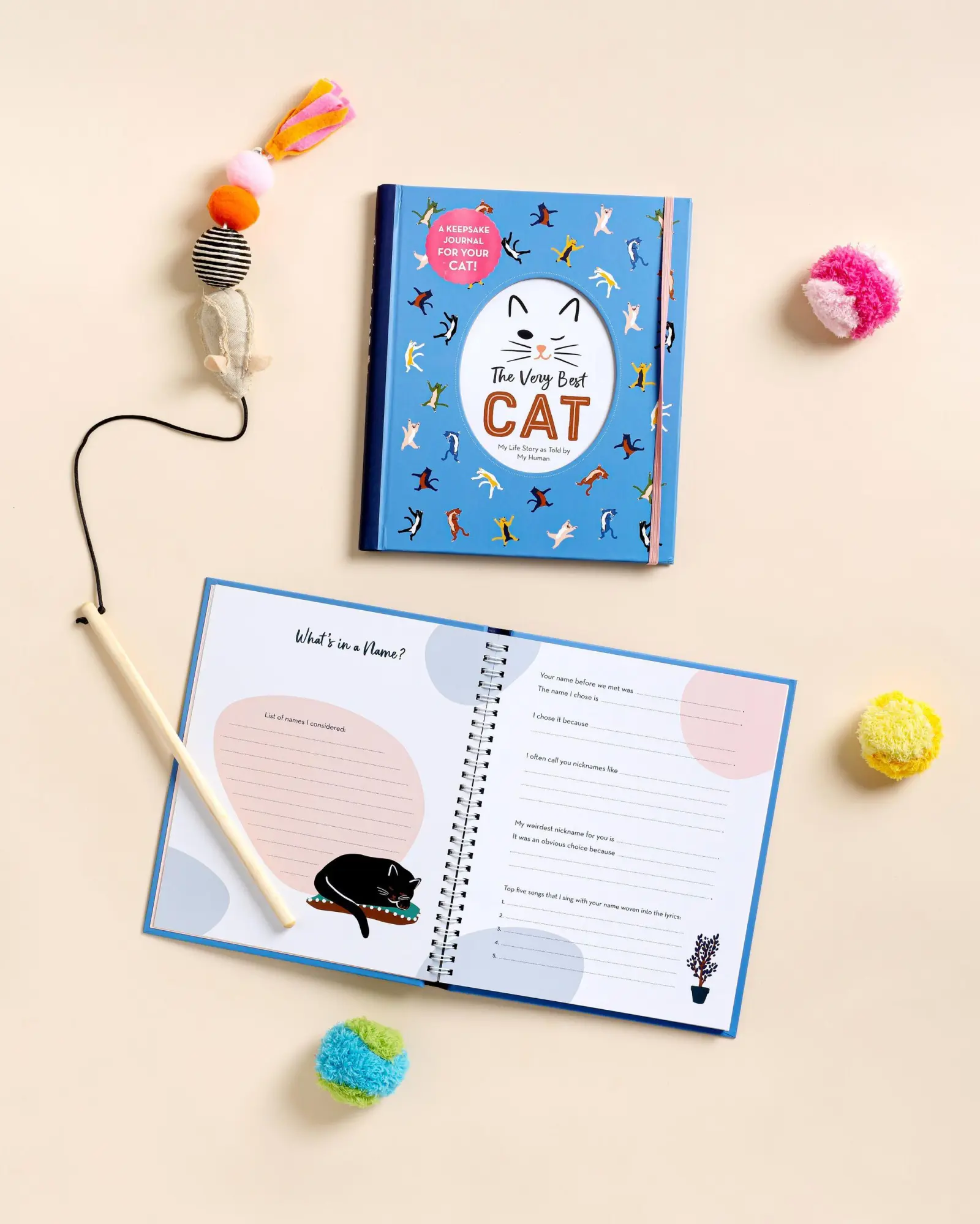 Bild: 9781523512317 | The Very Best Cat | My Life Story as Told by My Human | Publishing