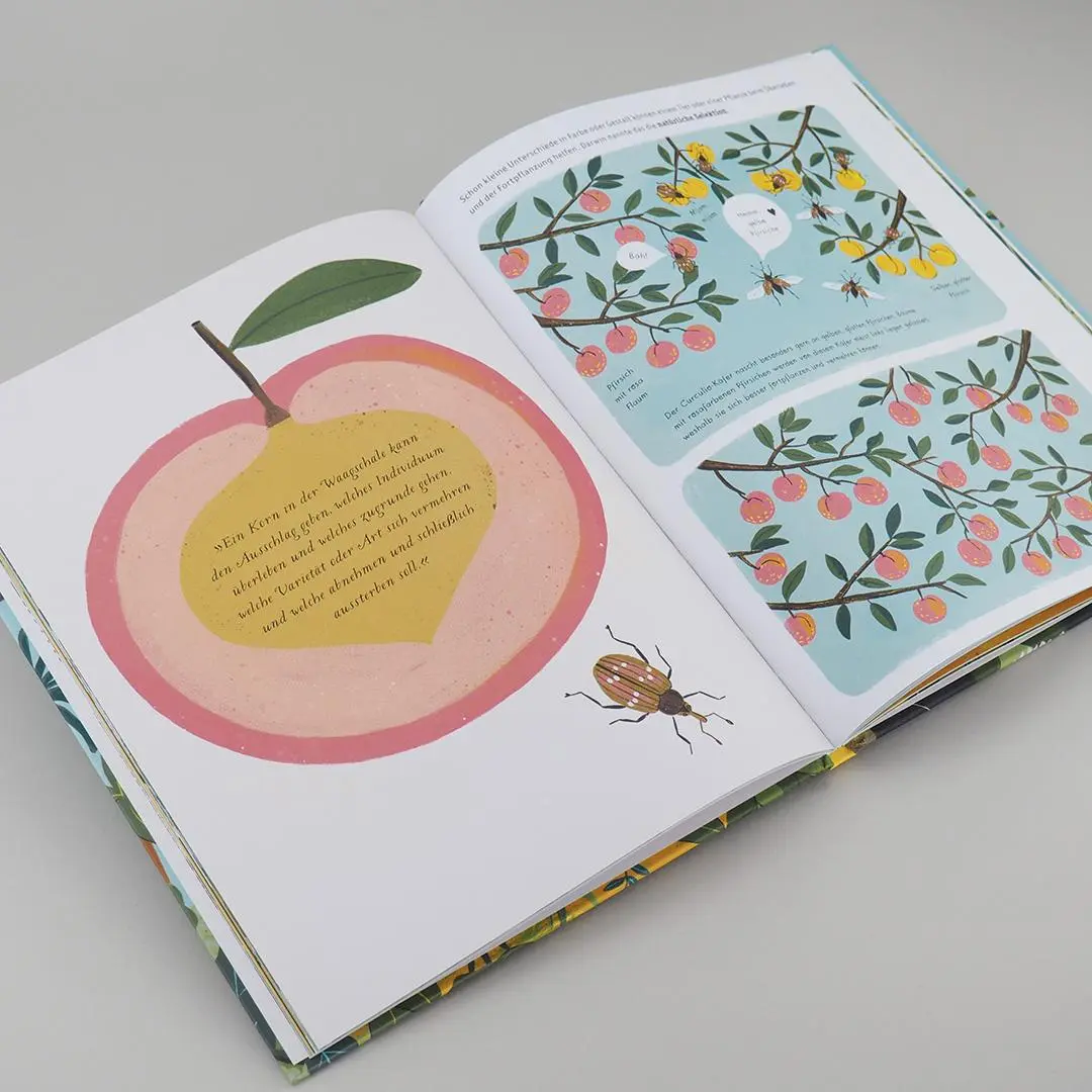 Bild: 9783446262317 | Darwins Entstehung der Arten | Sabina Radeva | Buch | 56 S. | Deutsch