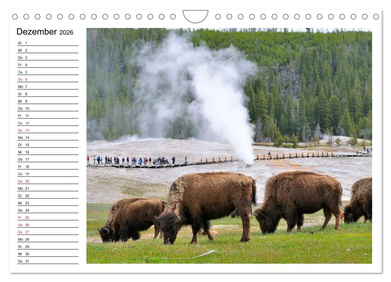 Bild: 9783516002317 | Der nordamerikanische Bison (Wandkalender 2026 DIN A4 quer),...