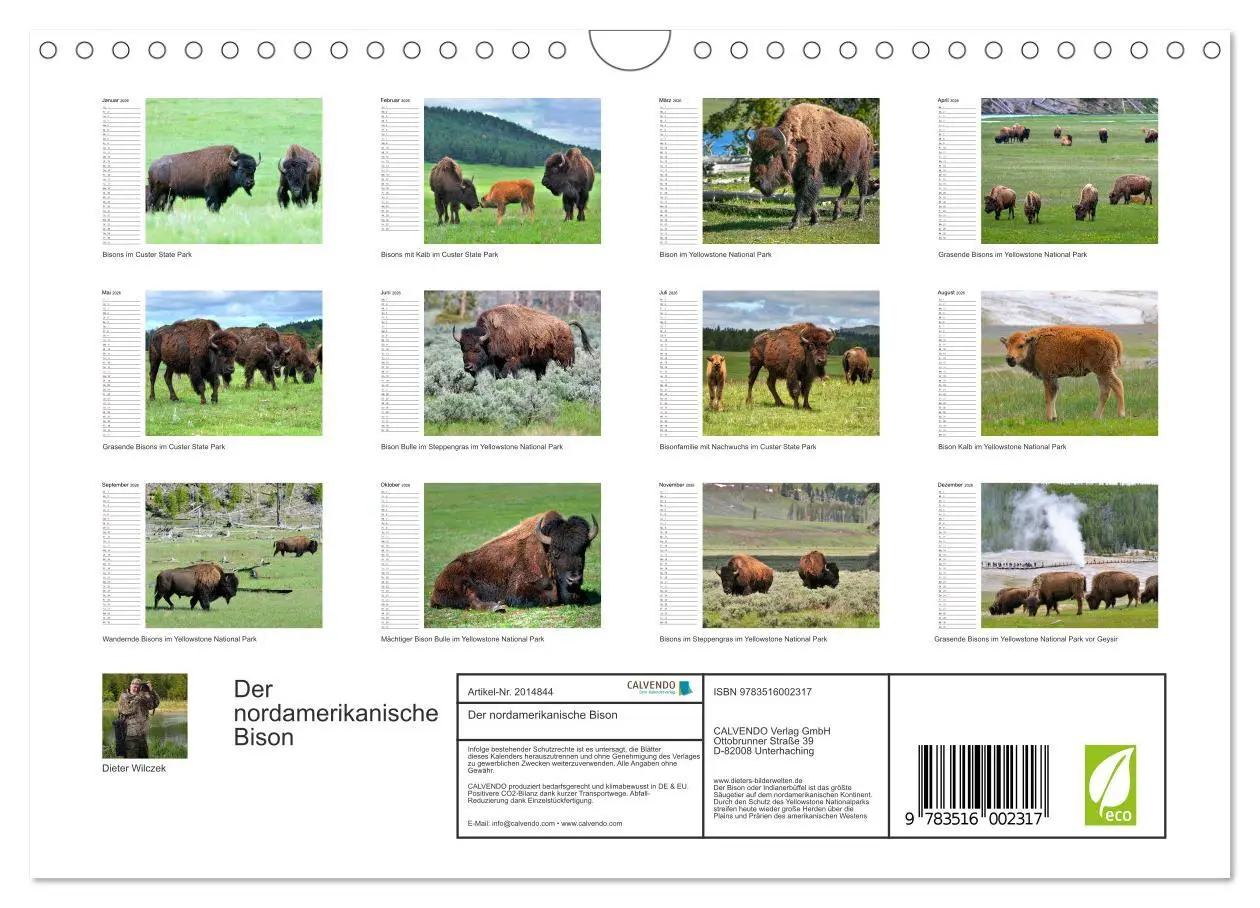 Bild: 9783516002317 | Der nordamerikanische Bison (Wandkalender 2026 DIN A4 quer),...