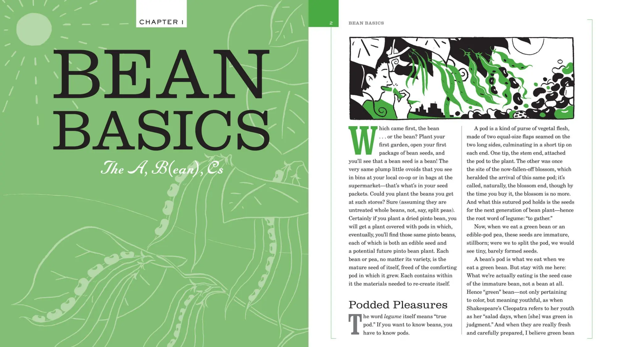 Bild: 9780761132417 | Bean by Bean: A Cookbook | Crescent Dragonwagon | Taschenbuch | 2012