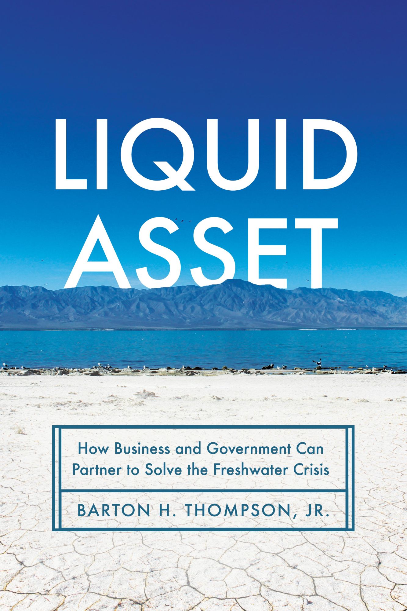 Cover: 9781503632417 | Liquid Asset | Barton H Thompson | Buch | Gebunden | Englisch | 2023