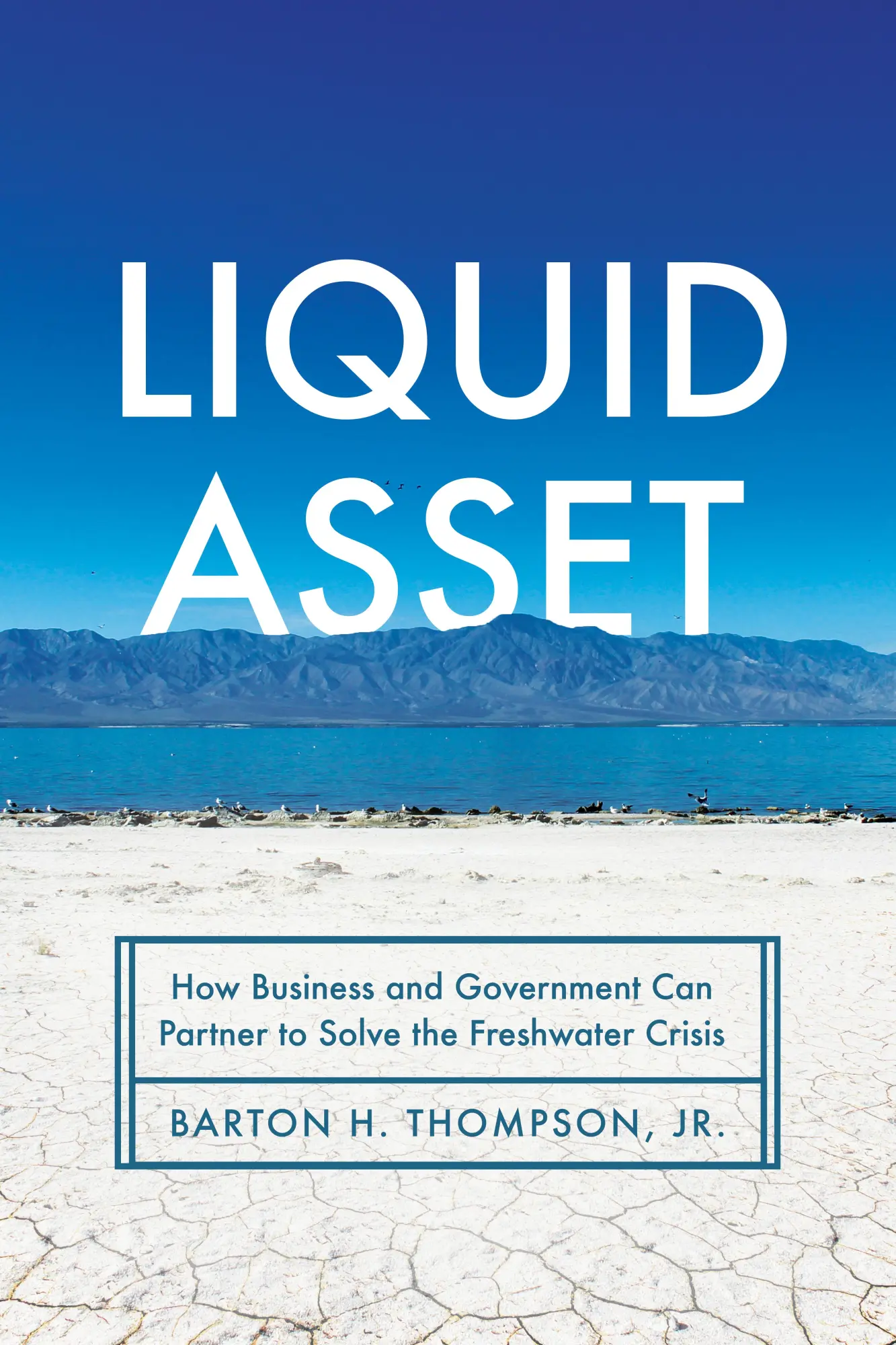 Cover: 9781503632417 | Liquid Asset | Barton H Thompson | Buch | Gebunden | Englisch | 2023