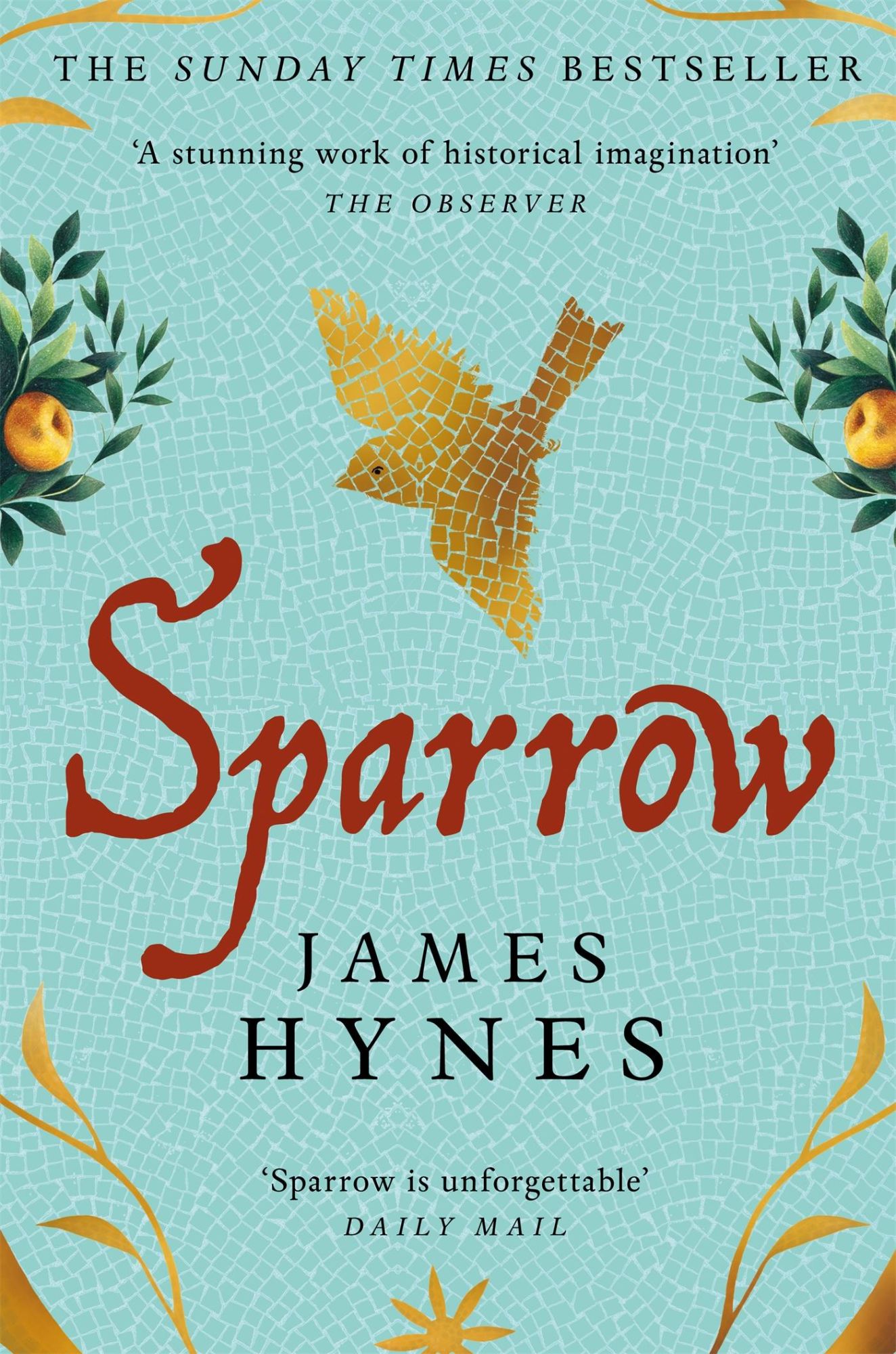 Cover: 9781529092417 | Sparrow | James Hynes | Taschenbuch | Paperback | Englisch | 2024