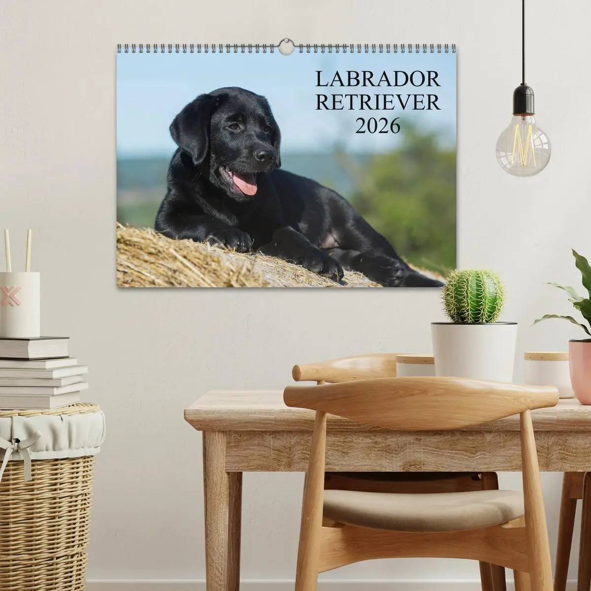 Bild: 9783516162417 | Labrador Retriever 2026 (Wandkalender 2026 DIN A3 quer), CALVENDO...