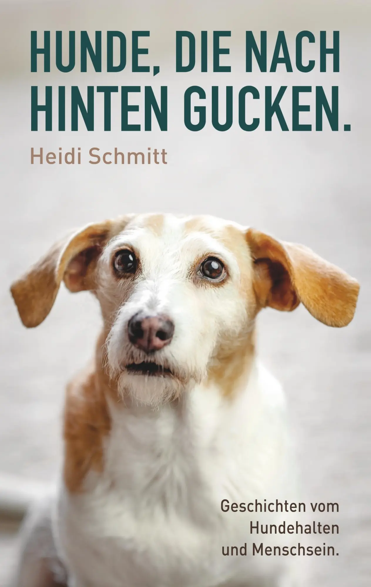 Cover: 9783748132417 | Hunde, die nach hinten gucken. | Heidi Schmitt | Taschenbuch | 208 S.