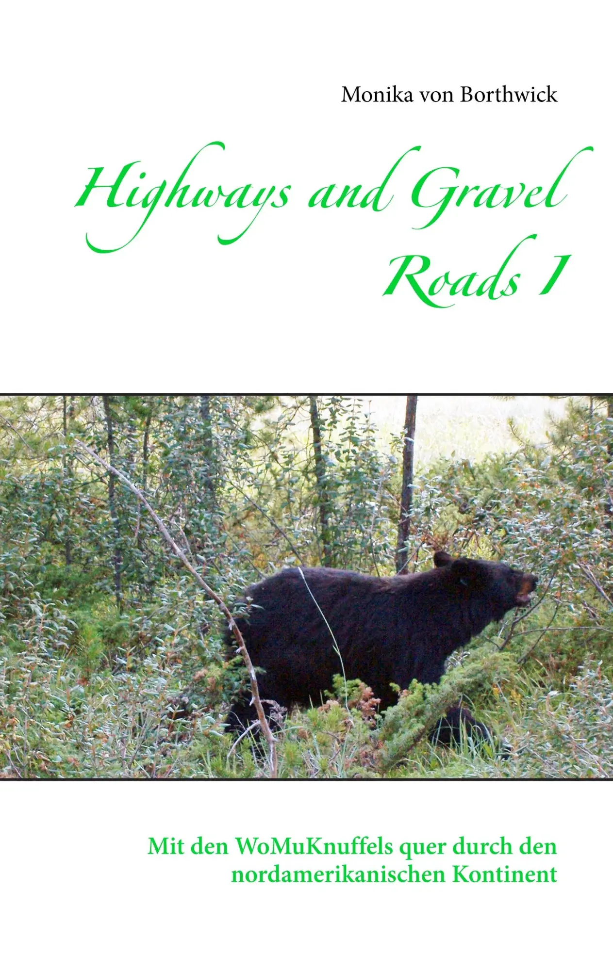 Cover: 9783751932417 | Highways and Gravel Roads I | Monika von Borthwick | Taschenbuch