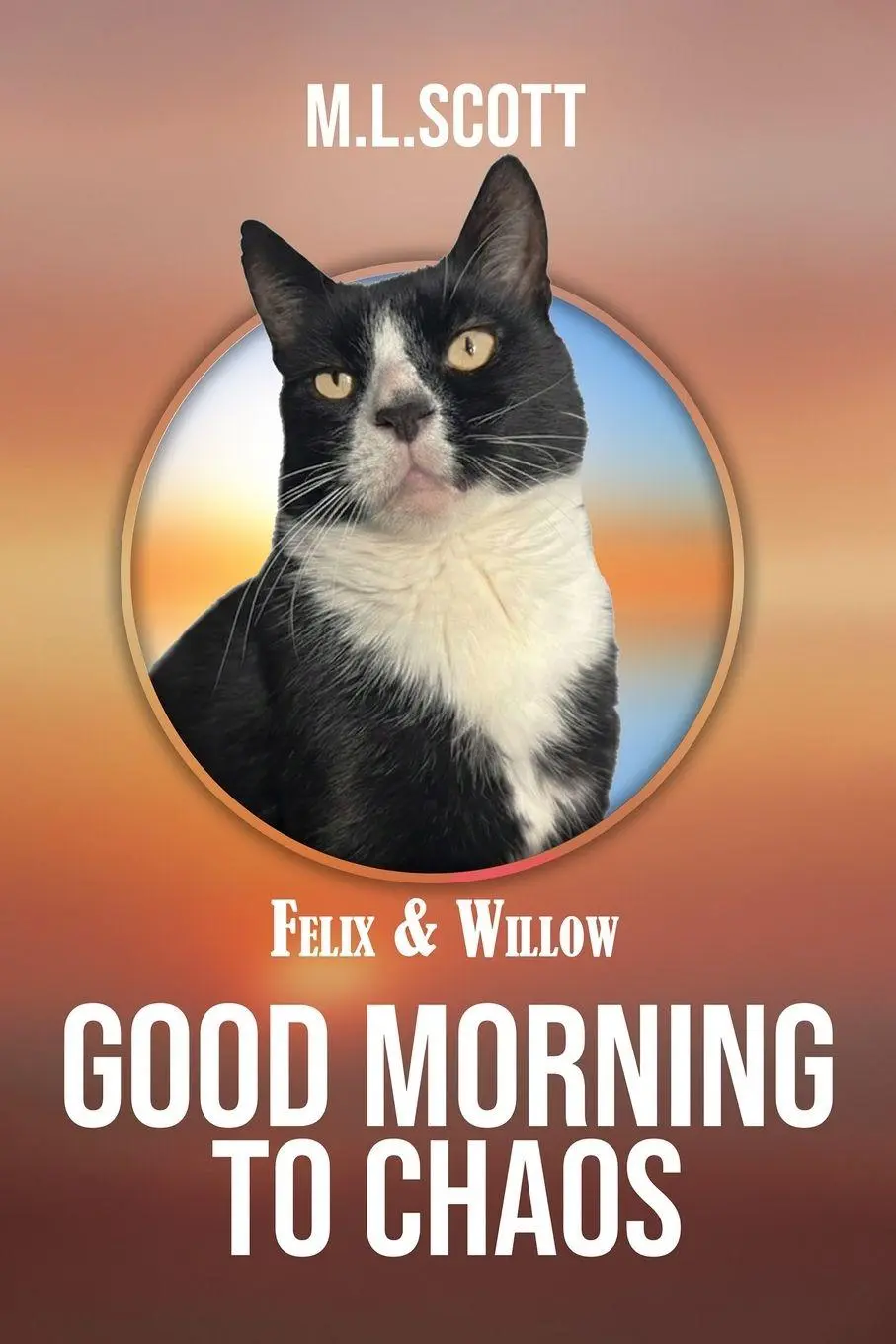 Cover: 9781918462517 | Felix &amp; Willow Good morning to Chaos | M. L. Scott | Taschenbuch