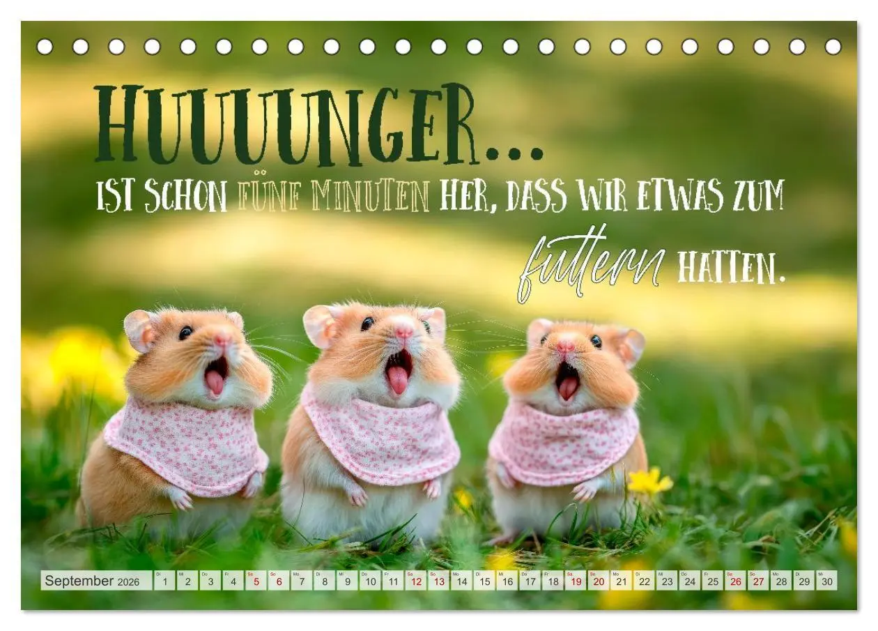 Bild: 9783457992517 | Hamsterhumor - Kleine Zuckerschnute, aber oho (Tischkalender 2026...