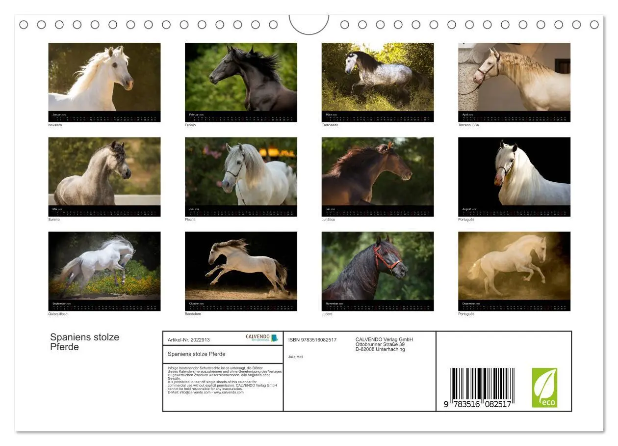 Bild: 9783516082517 | Spaniens stolze Pferde (Wandkalender 2026 DIN A4 quer), CALVENDO...
