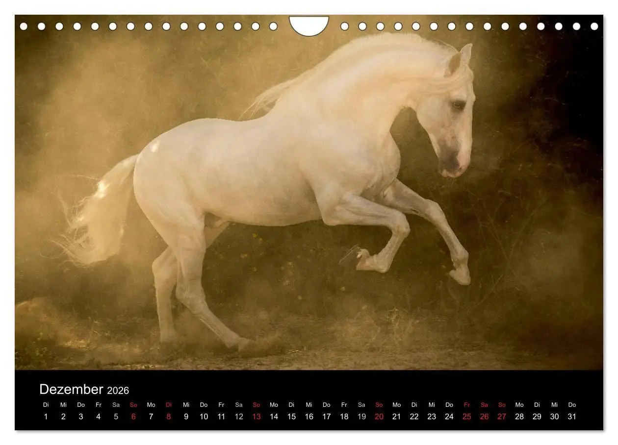 Bild: 9783516082517 | Spaniens stolze Pferde (Wandkalender 2026 DIN A4 quer), CALVENDO...