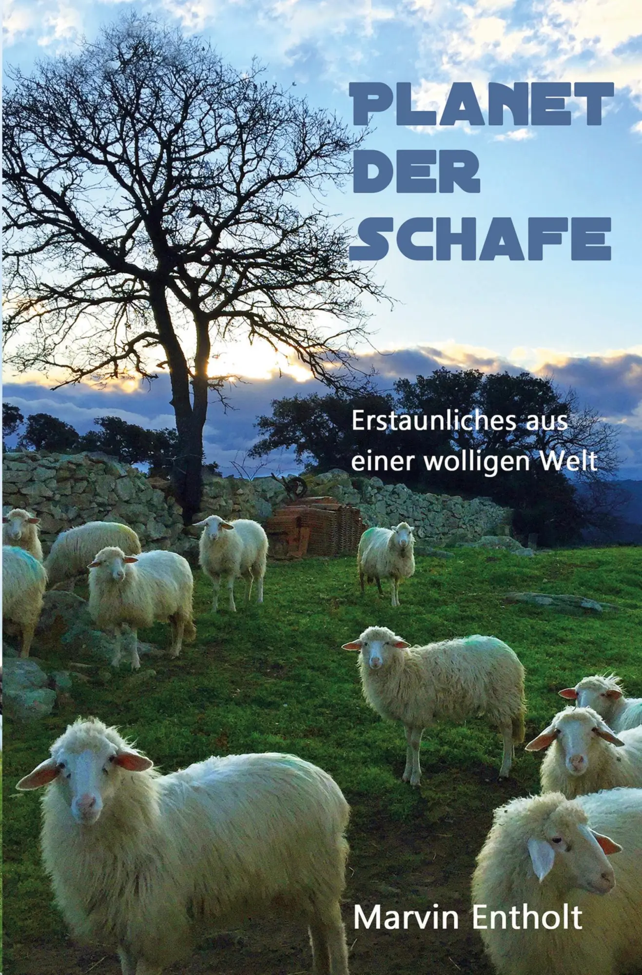 Cover: 9783754682517 | Planet der Schafe | Marvin Entholt | Taschenbuch | 216 S. | Deutsch