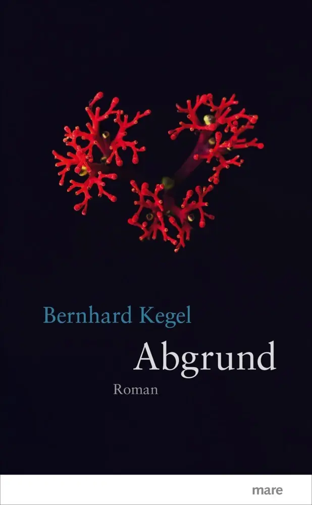 Cover: 9783866482517 | Abgrund | Roman | Bernhard Kegel | Buch | Mit Lesebändchen | 382 S.