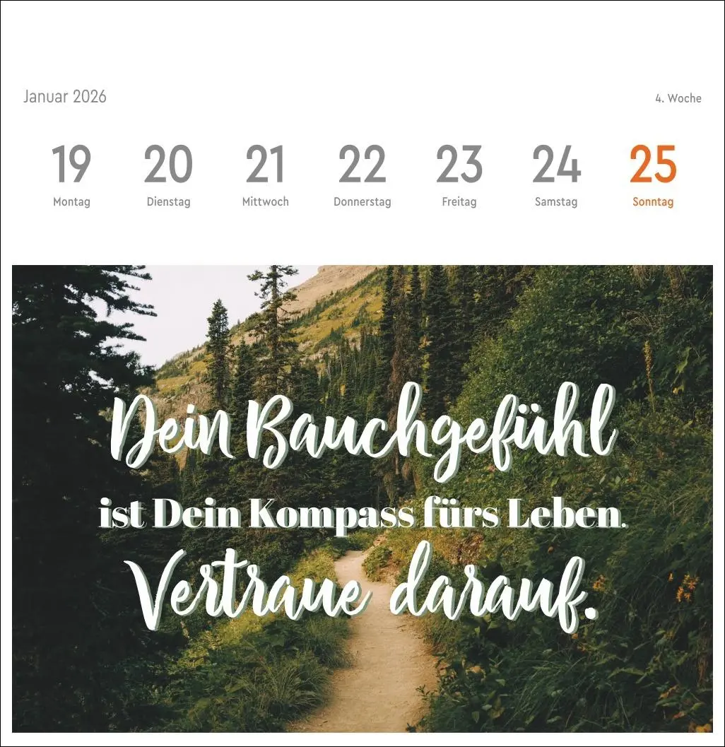 Bild: 9783756412617 | Visual Statements Premium-Postkartenkalender 2026 | Kalender | 54 S.