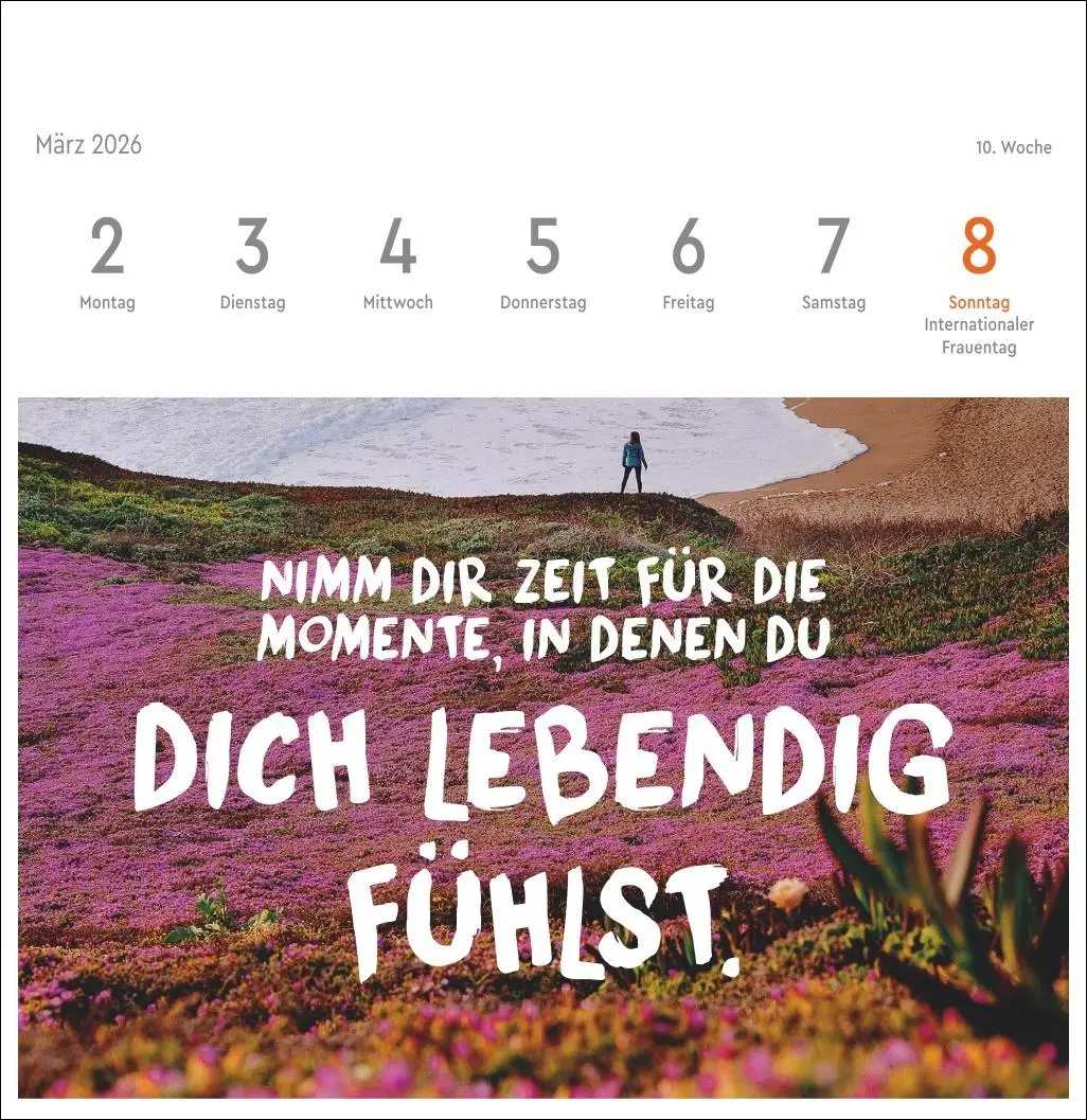 Bild: 9783756412617 | Visual Statements Premium-Postkartenkalender 2026 | Kalender | 54 S.