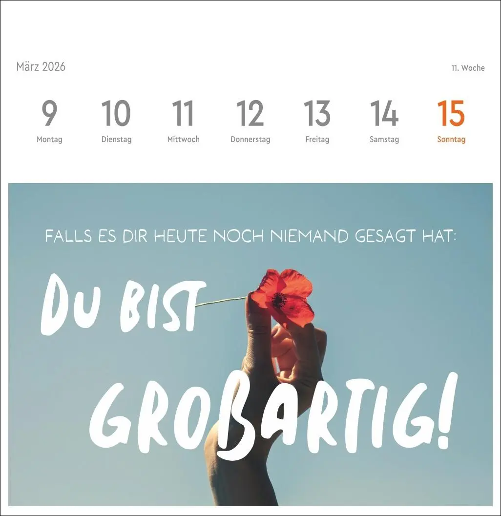 Bild: 9783756412617 | Visual Statements Premium-Postkartenkalender 2026 | Kalender | 54 S.