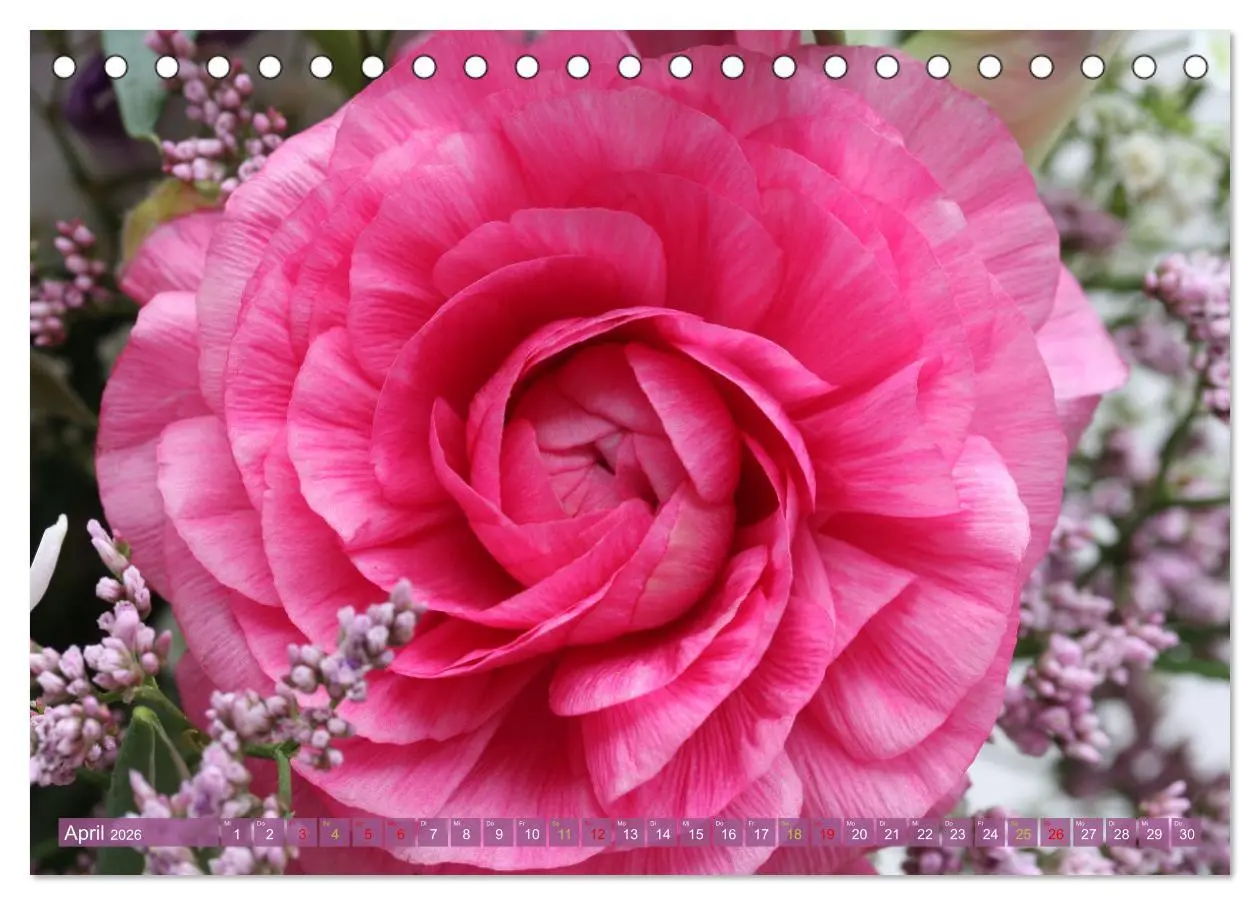 Bild: 9783457282717 | Blütenwunder - Mit Blumen durchs ganze Gartenjahr (Tischkalender...