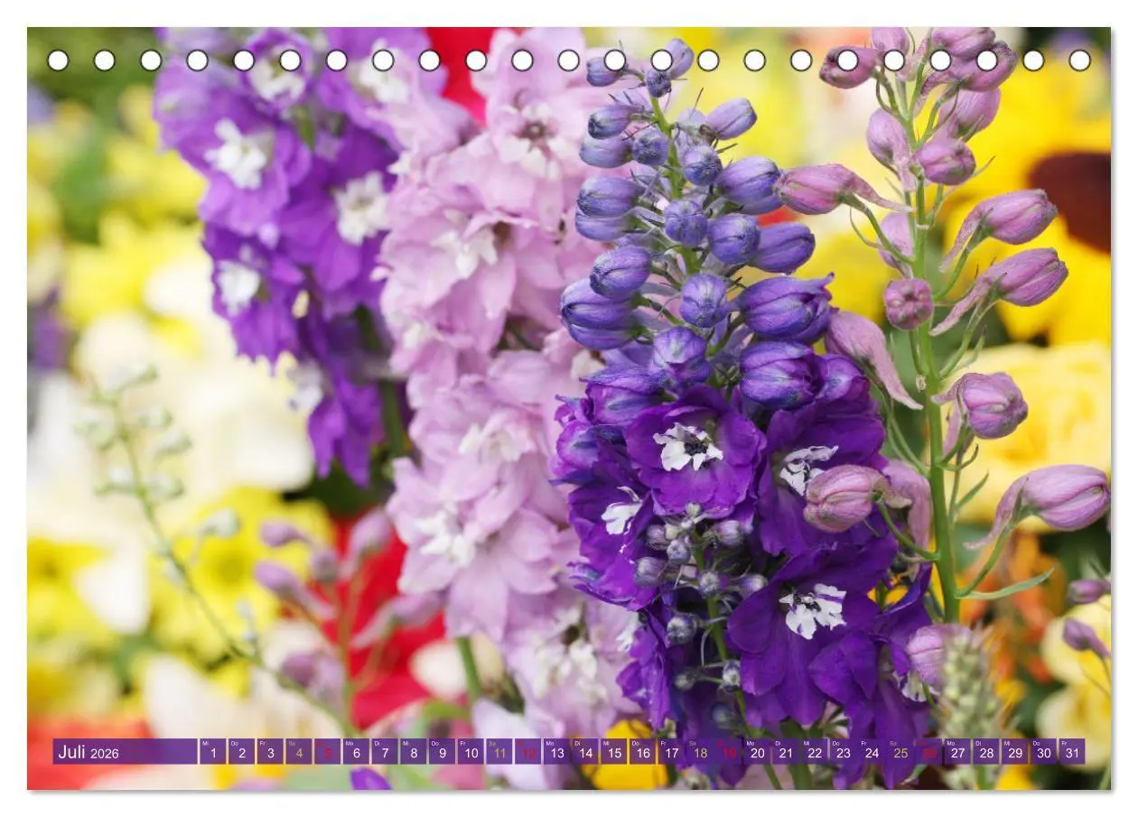 Bild: 9783457282717 | Blütenwunder - Mit Blumen durchs ganze Gartenjahr (Tischkalender...