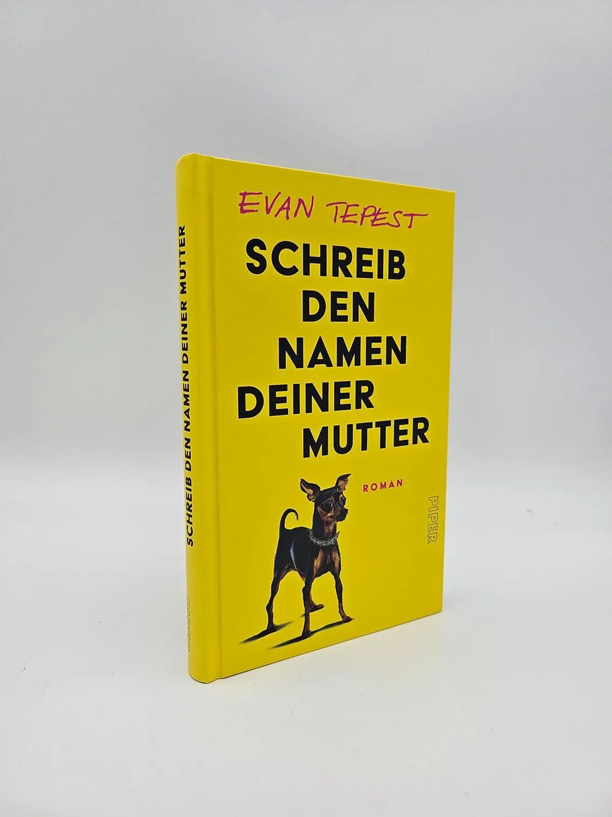 Bild: 9783492072717 | Schreib den Namen deiner Mutter | Evan Tepest | Buch | 192 S. | 2024