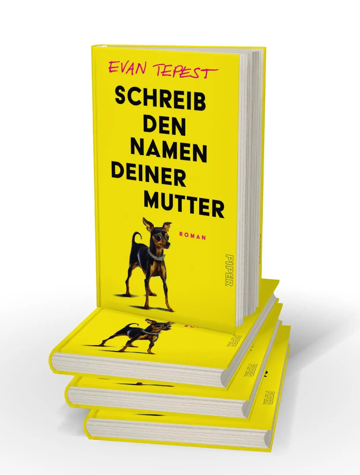 Bild: 9783492072717 | Schreib den Namen deiner Mutter | Evan Tepest | Buch | 192 S. | 2024