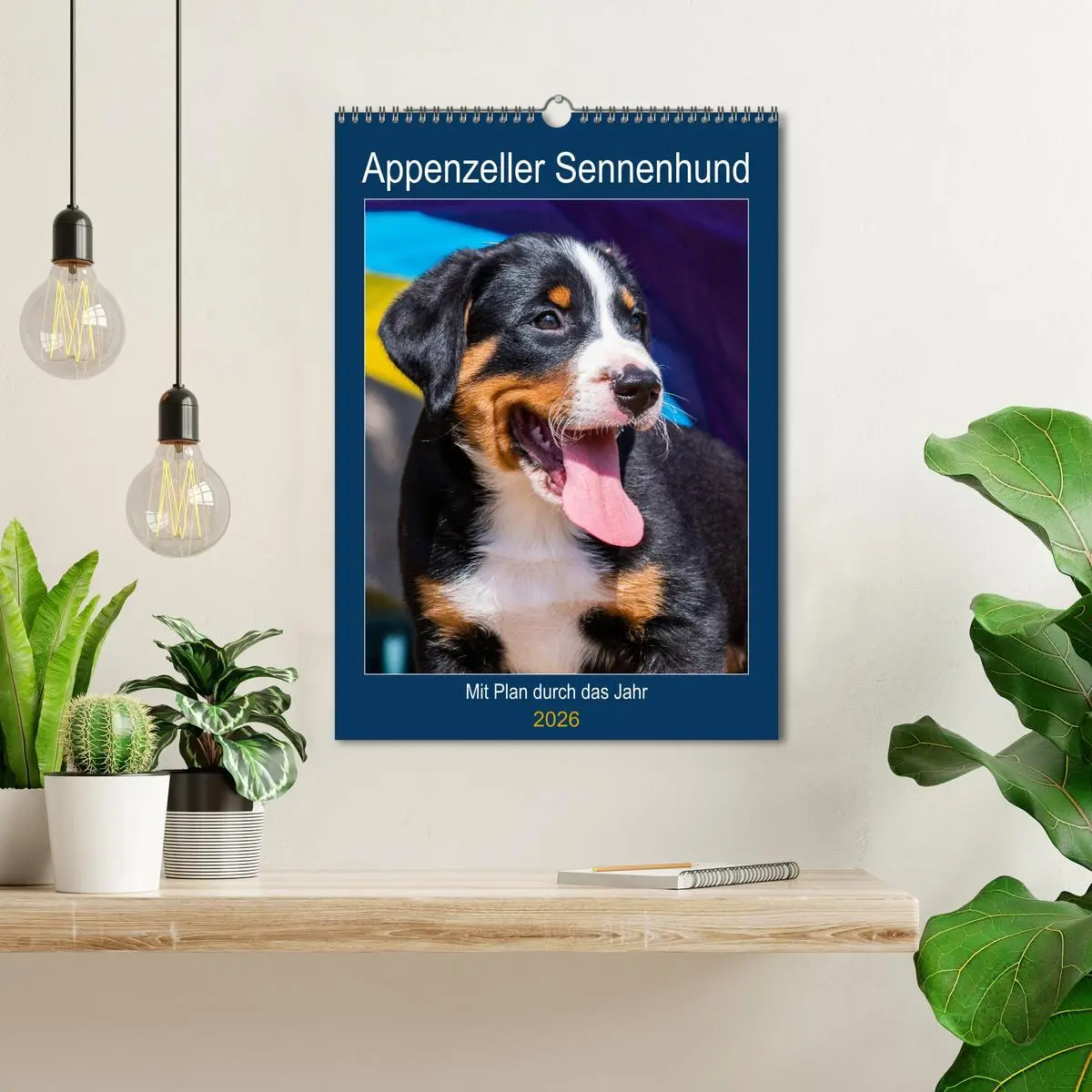 Bild: 9783516372717 | Appenzeller Sennenhund - Mit Plan durch das Jahr (Wandkalender 2026...