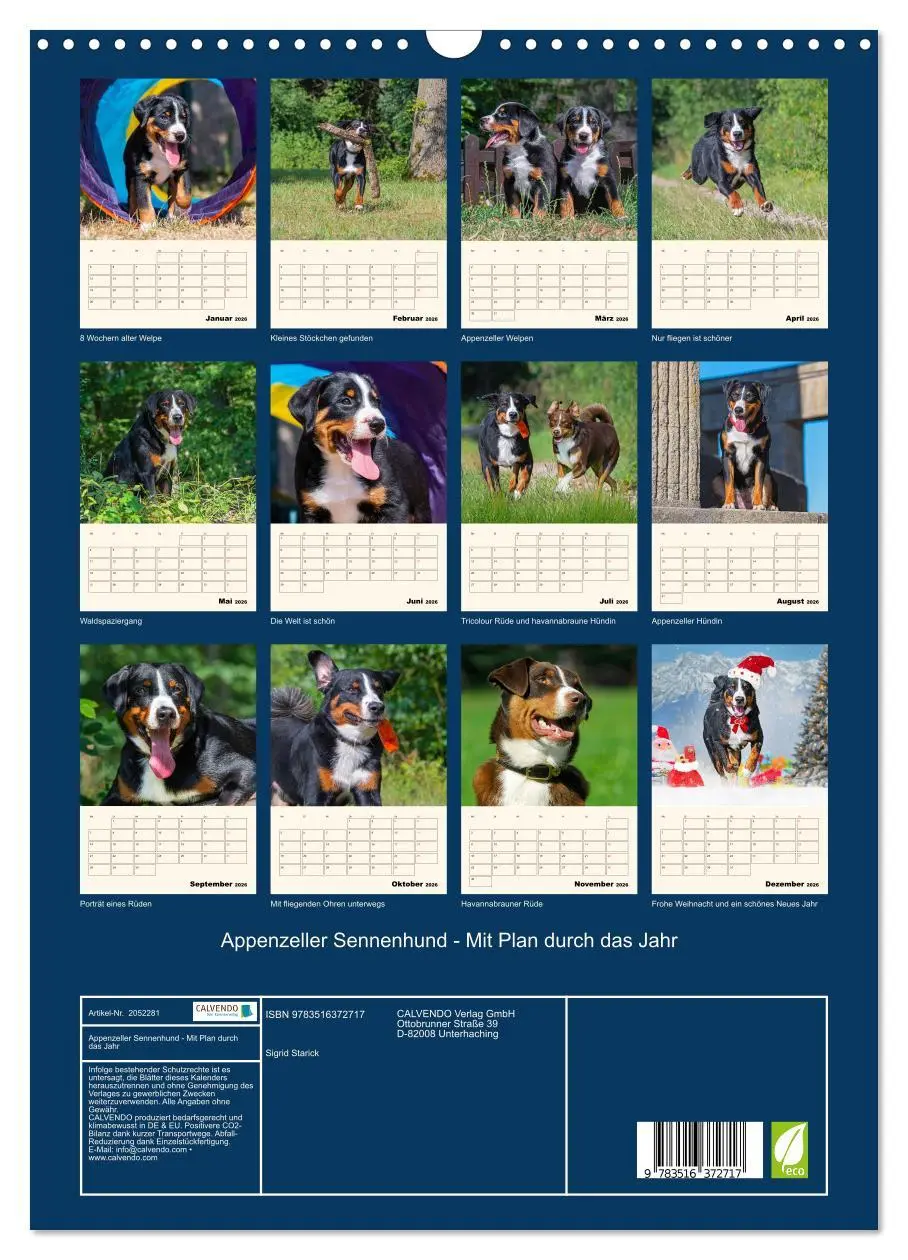 Bild: 9783516372717 | Appenzeller Sennenhund - Mit Plan durch das Jahr (Wandkalender 2026...