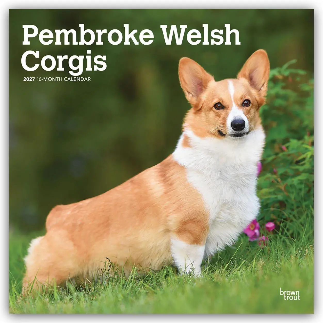 Cover: 9798330712717 | Pembroke Welsh Corgis - Pembroke Welsh Corgi 2027 - 16-Monatskalender