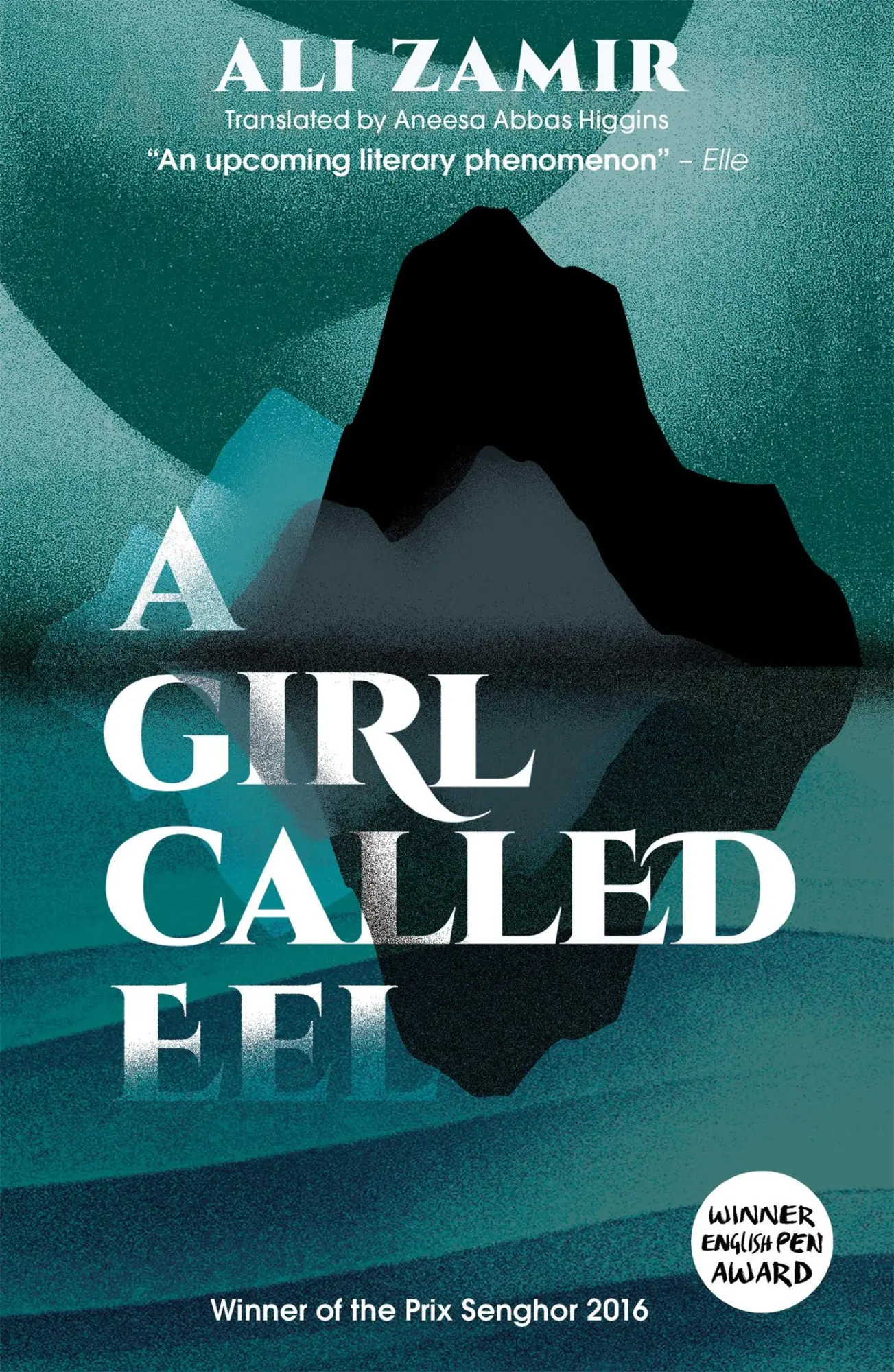 Cover: 9781909762817 | A Girl Called Eel | Ali Zamir | Taschenbuch | Kartoniert / Broschiert