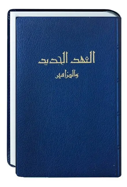 Cover: 9783438082817 | Neues Testament Arabisch | Traditionelle Übersetzung | Dyke | Buch