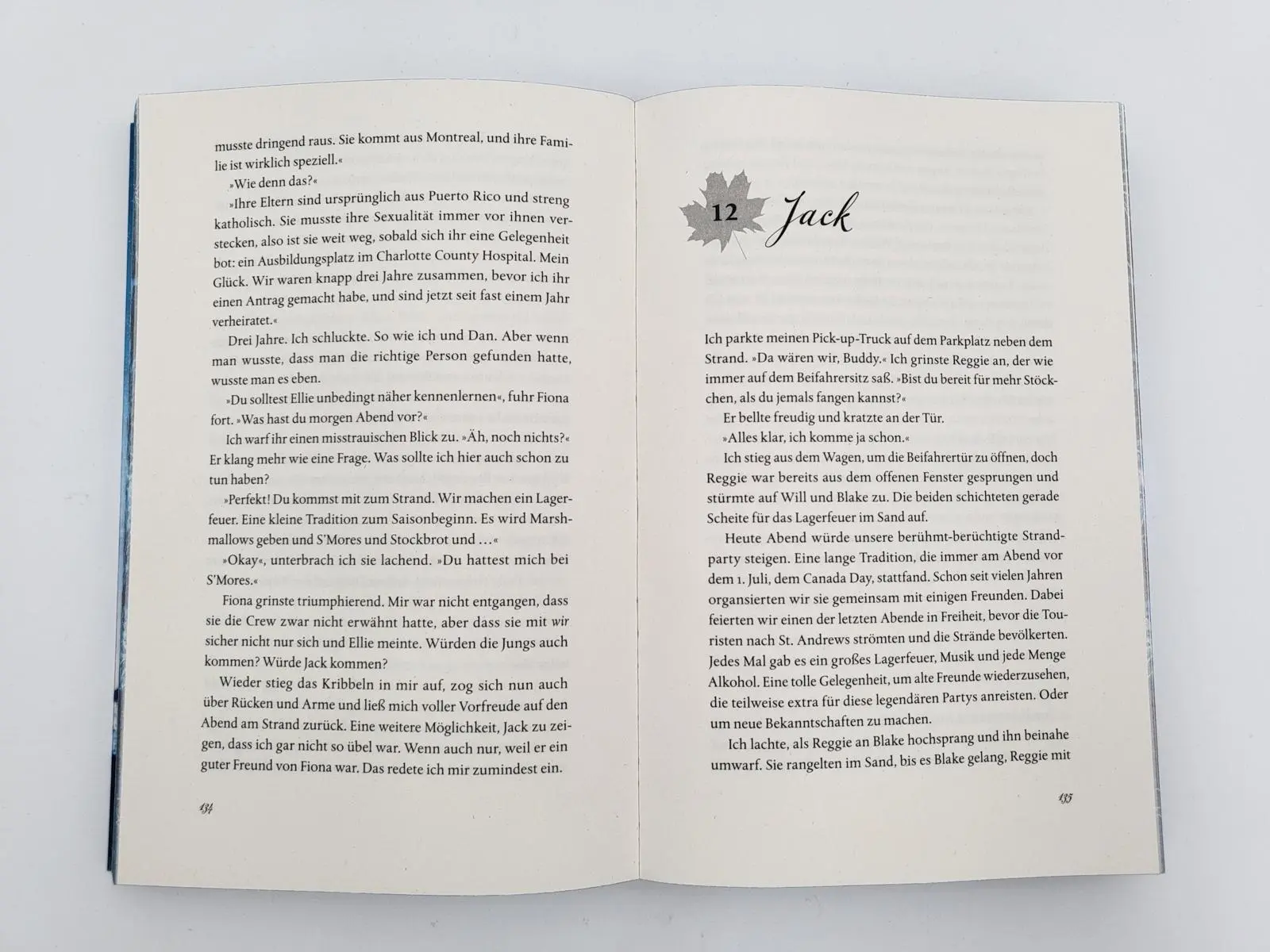 Bild: 9783492062817 | When the Storm Comes | Roman New-Adult-Liebesroman | Carina Schnell
