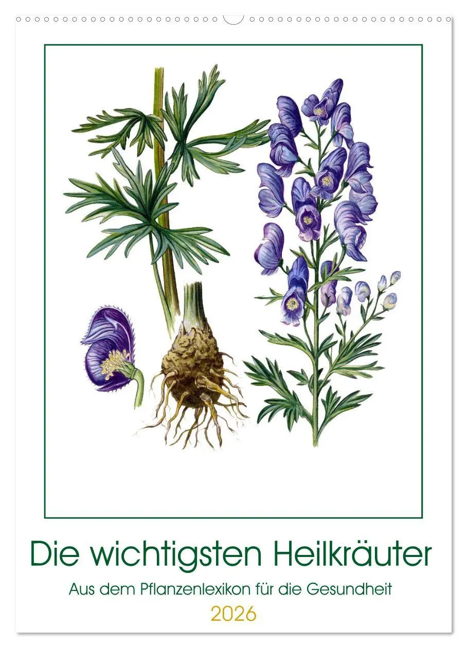Cover: 9783516362817 | Die wichtigsten Heilkräuter (Wandkalender 2026 DIN A2 hoch),...