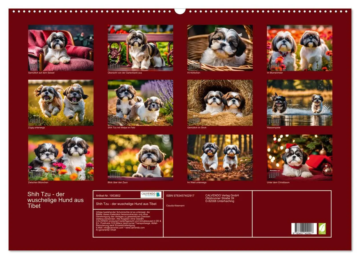 Bild: 9783457402917 | Shih Tzu - der wuschelige Hund aus Tibet (Wandkalender 2026 DIN A2...