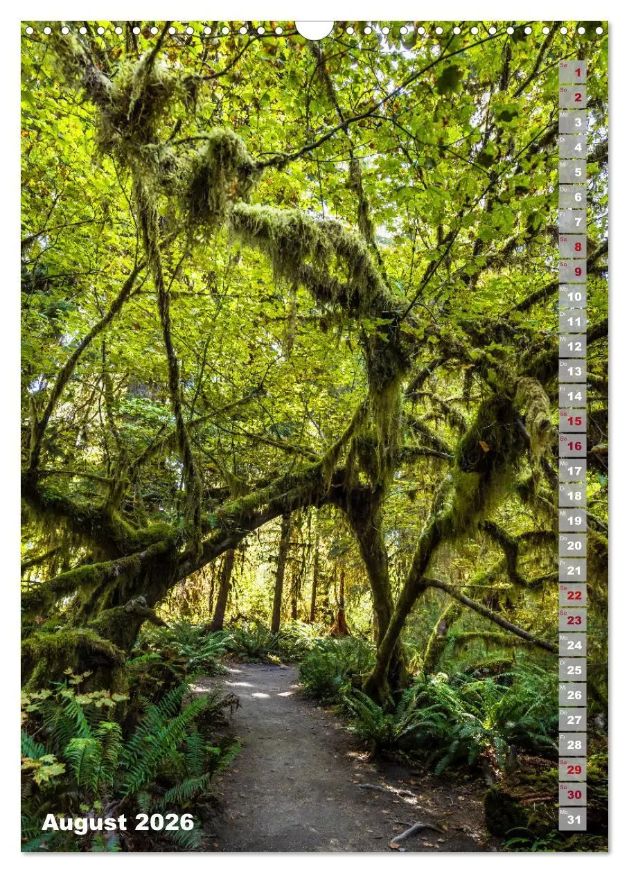 Bild: 9783516243017 | SEATTLE Imposante Stadt- und Naturimpressionen (Wandkalender 2026...