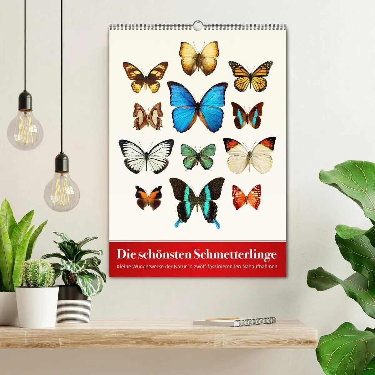 Bild: 9783569953017 | Die schönsten Schmetterlinge (Wandkalender 2027 DIN A2 hoch),...