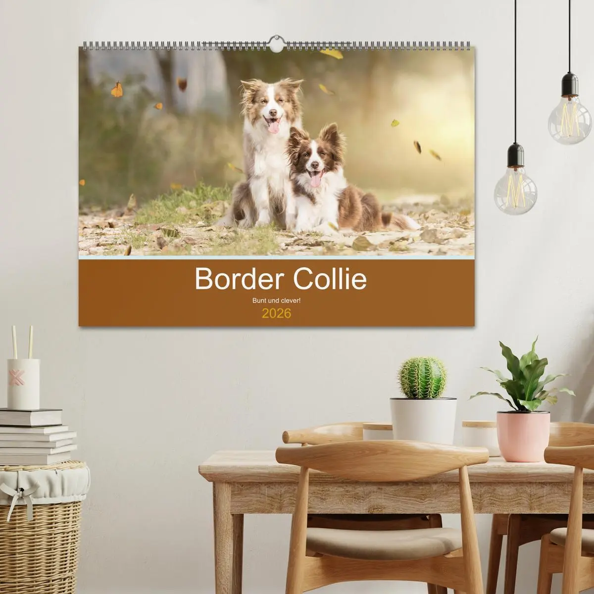 Bild: 9783457763117 | Border Collie - Bunt und clever! (Wandkalender 2026 DIN A2 quer),...