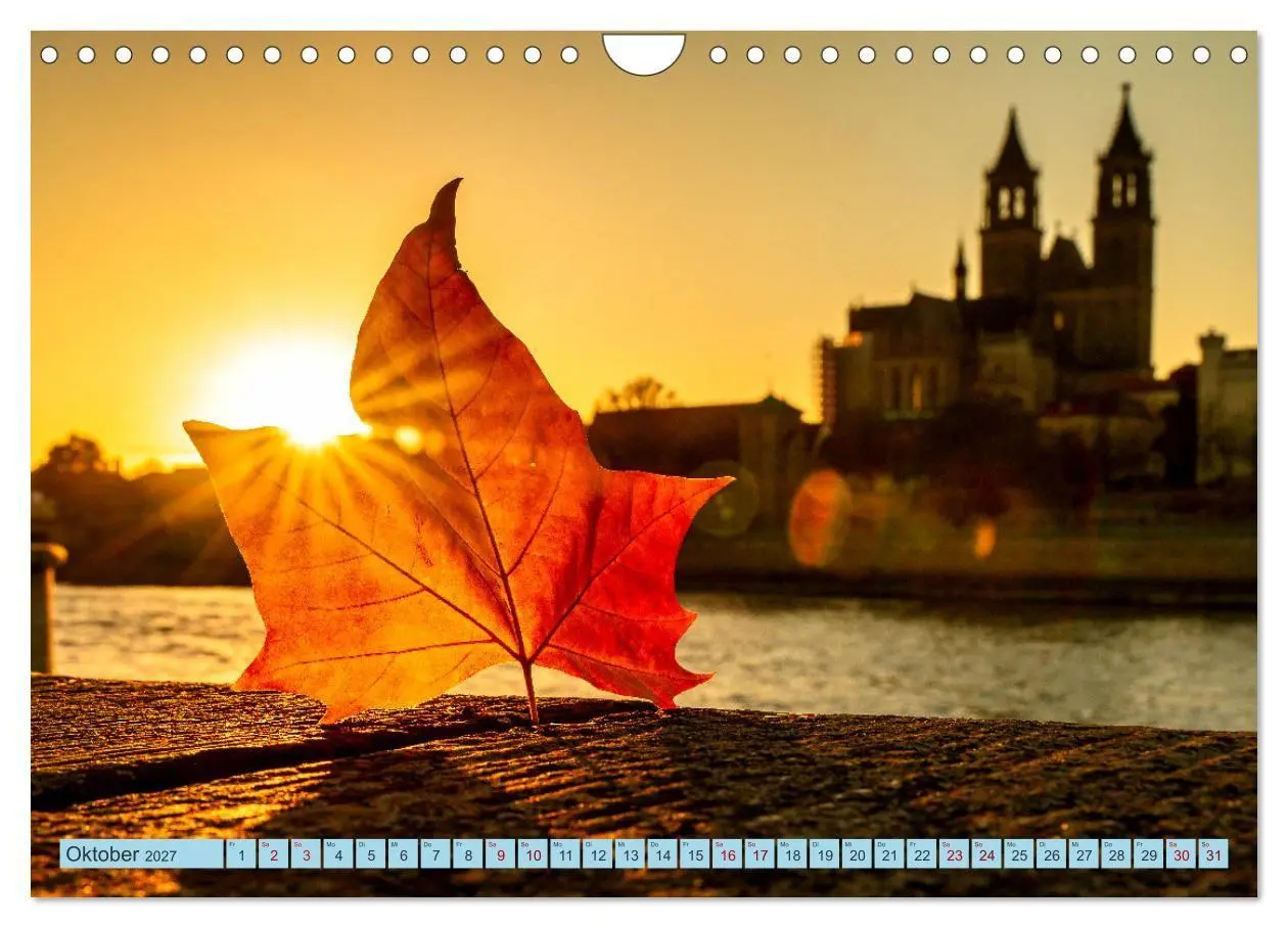 Bild: 9783516783117 | Magdeburger Dom 2027 (Wandkalender 2027 DIN A4 quer), CALVENDO...