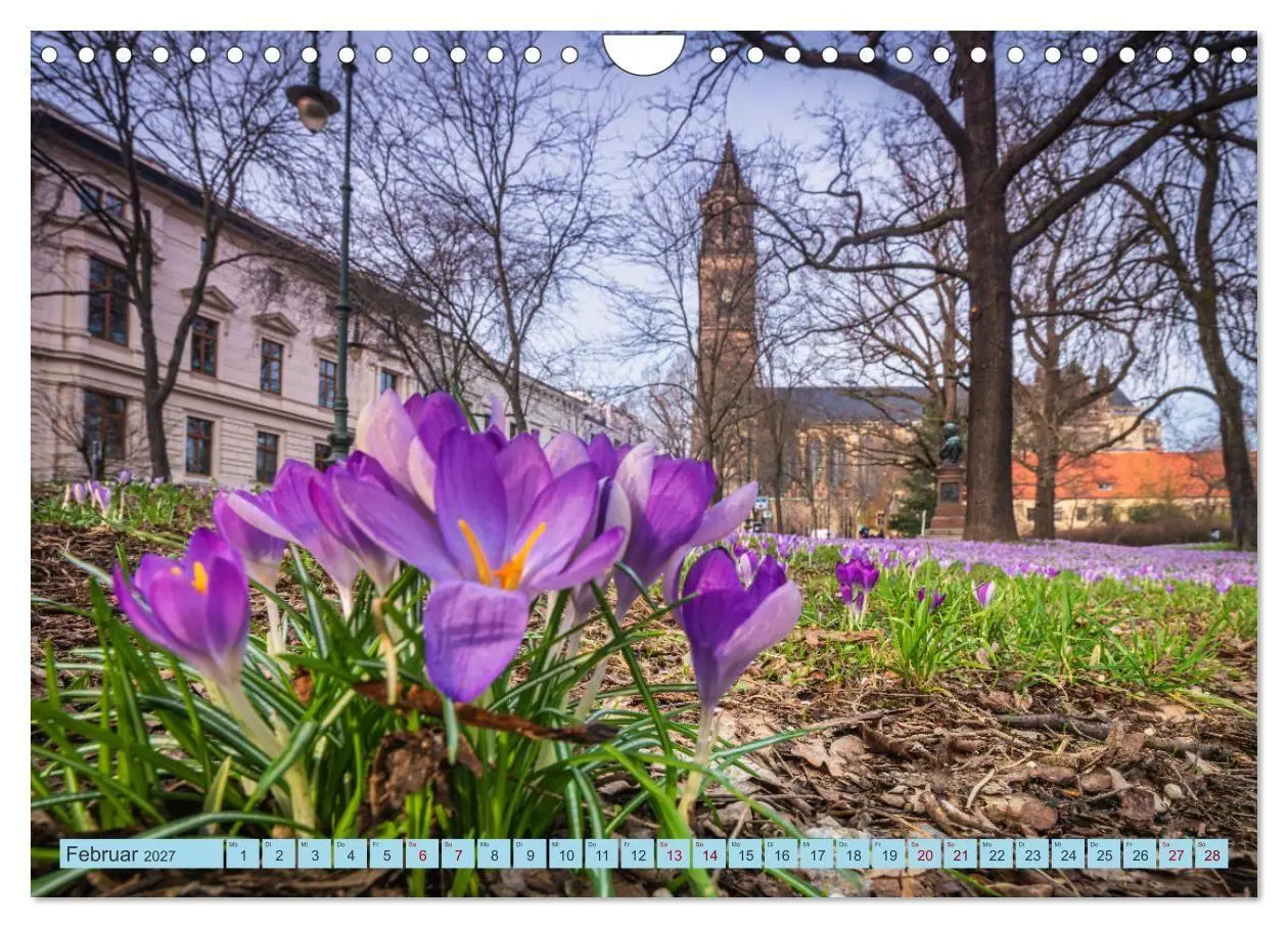 Bild: 9783516783117 | Magdeburger Dom 2027 (Wandkalender 2027 DIN A4 quer), CALVENDO...