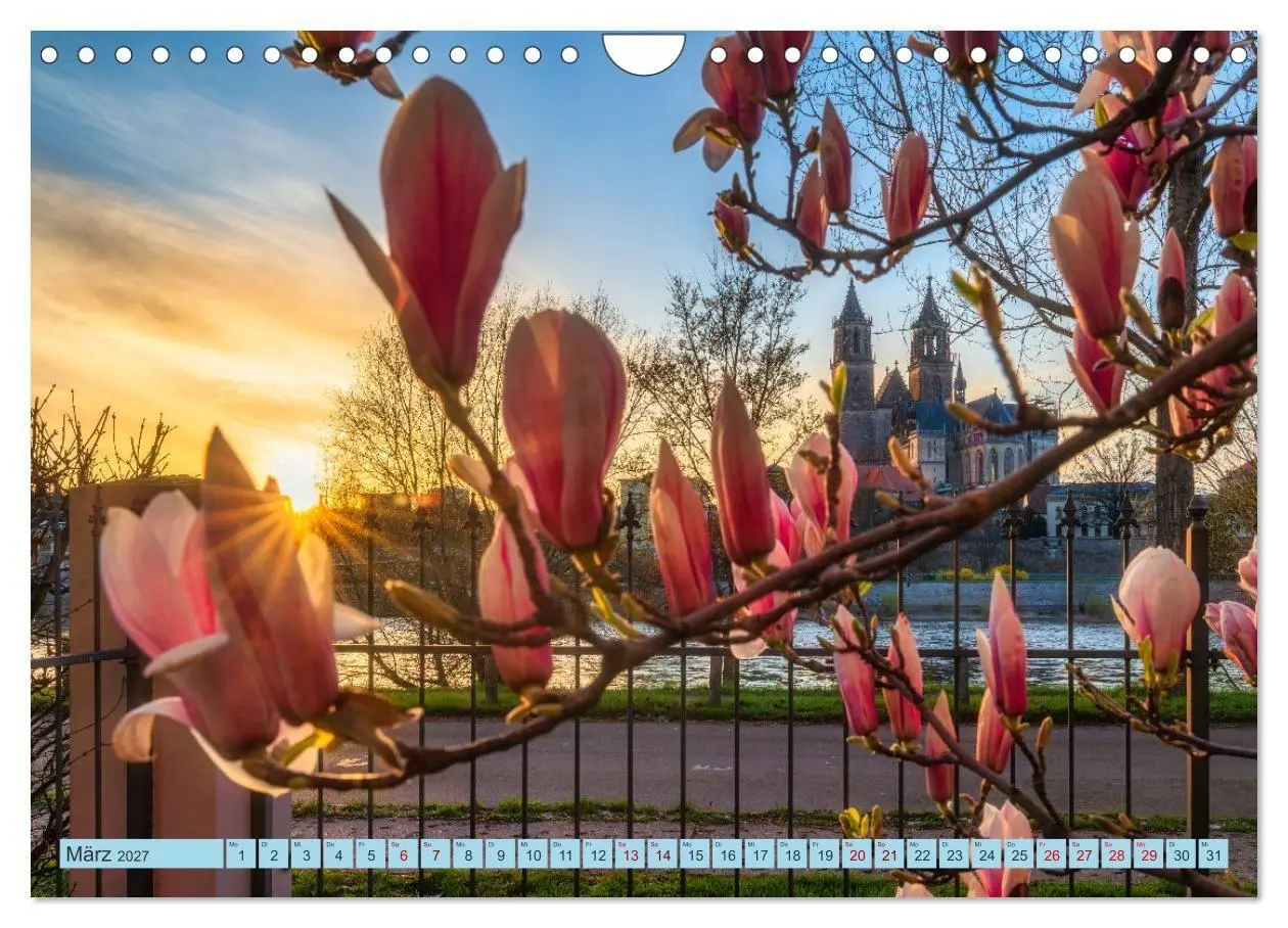Bild: 9783516783117 | Magdeburger Dom 2027 (Wandkalender 2027 DIN A4 quer), CALVENDO...