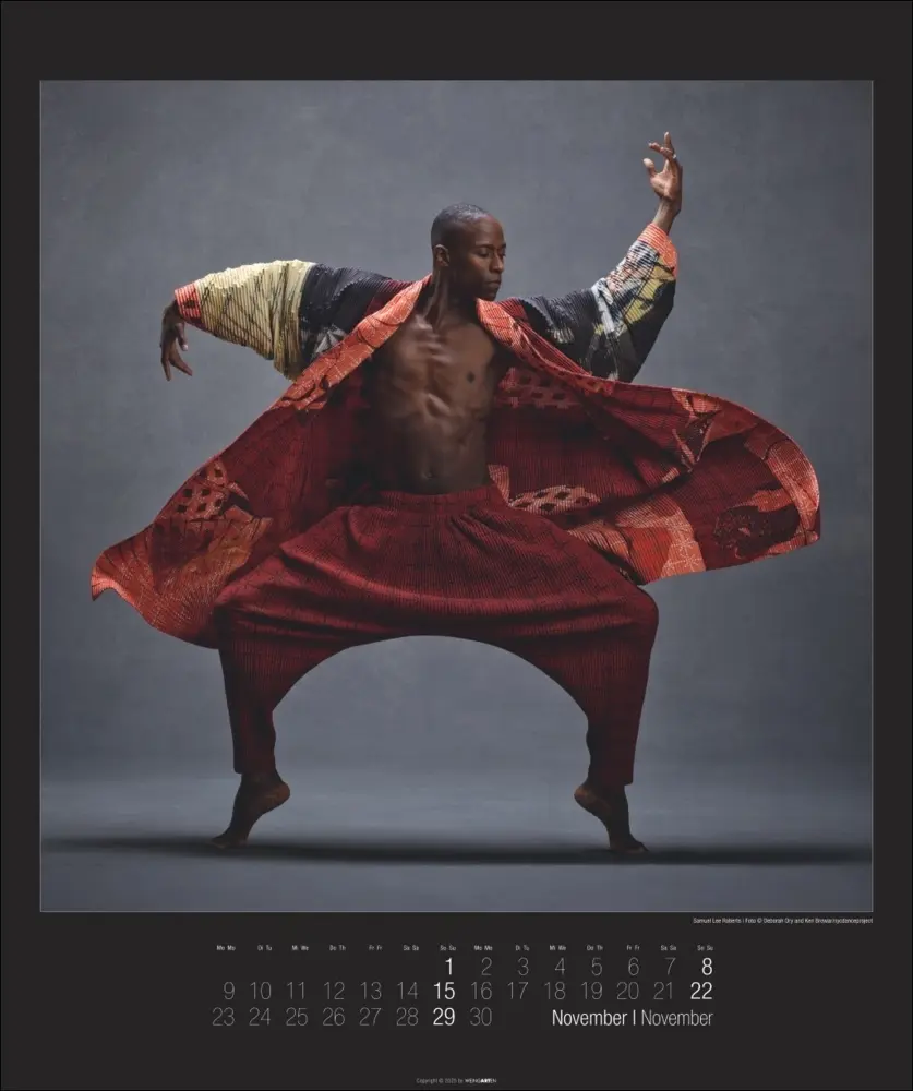 Bild: 9783839903117 | The Art of Movement Kalender 2026 | Ken Browar | Kalender | 14 S.