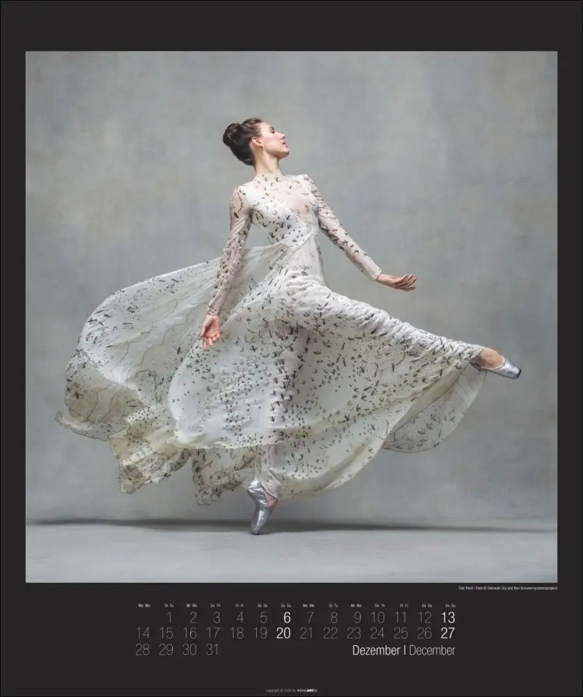 Bild: 9783839903117 | The Art of Movement Kalender 2026 | Ken Browar | Kalender | 14 S.
