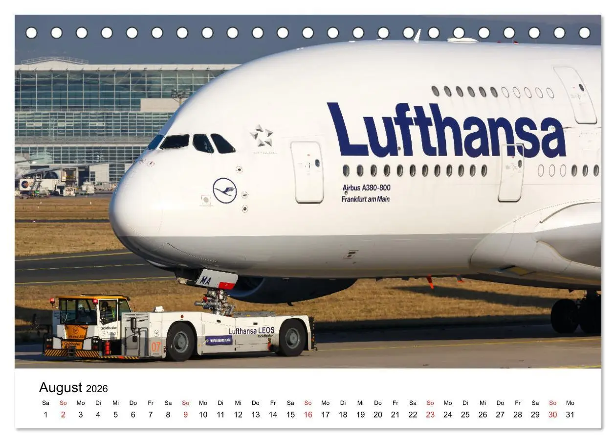 Bild: 9783457683217 | SUPERJUMBOS (Tischkalender 2026 DIN A5 quer), CALVENDO Monatskalender