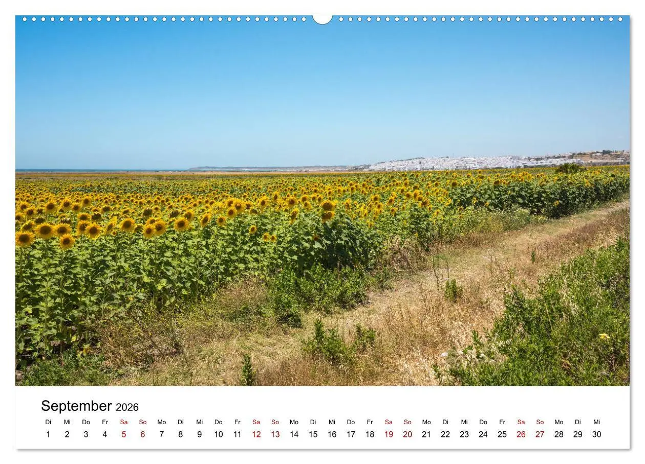 Bild: 9783457753217 | Andalusien - Landschaften rund um Conil de la Frontera...