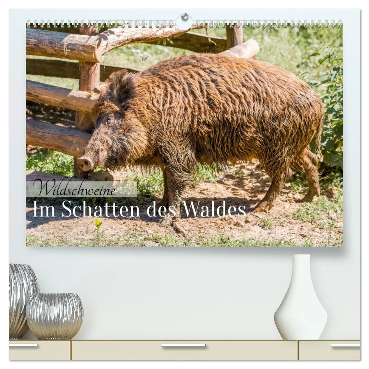 Cover: 9783516603217 | Wildschweine - Im Schatten des Waldes (hochwertiger Premium...