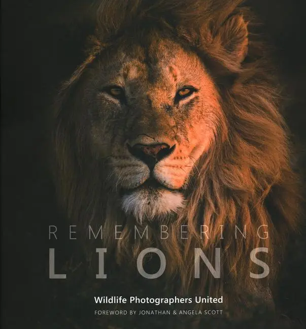 Cover: 9781999643317 | Remembering Lions | Margot Raggett (u. a.) | Buch | Gebunden | 2020