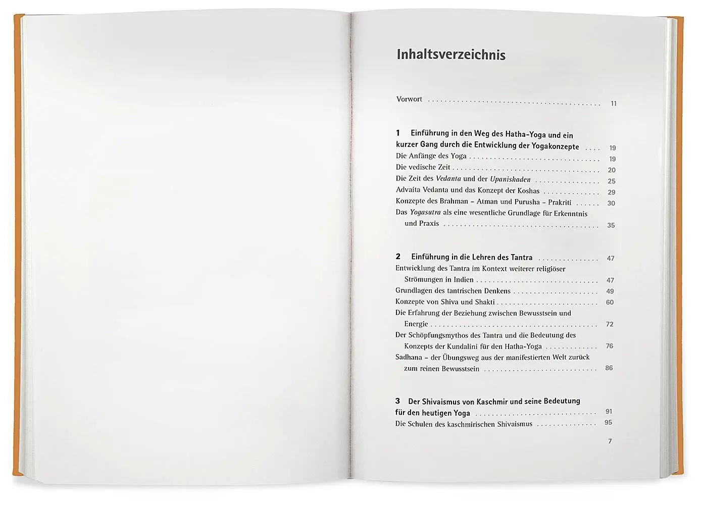 Bild: 9783426293317 | Yoga der Energie | Anna Trökes | Buch | 416 S. | Deutsch | 2022