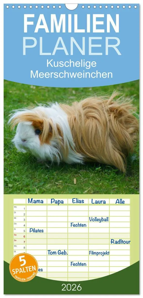 Cover: 9783516523317 | Familienplaner 2026 - Kuschelige Meerschweinchen mit 5 Spalten...