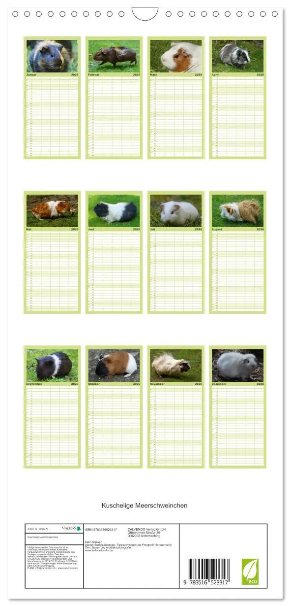 Bild: 9783516523317 | Familienplaner 2026 - Kuschelige Meerschweinchen mit 5 Spalten...