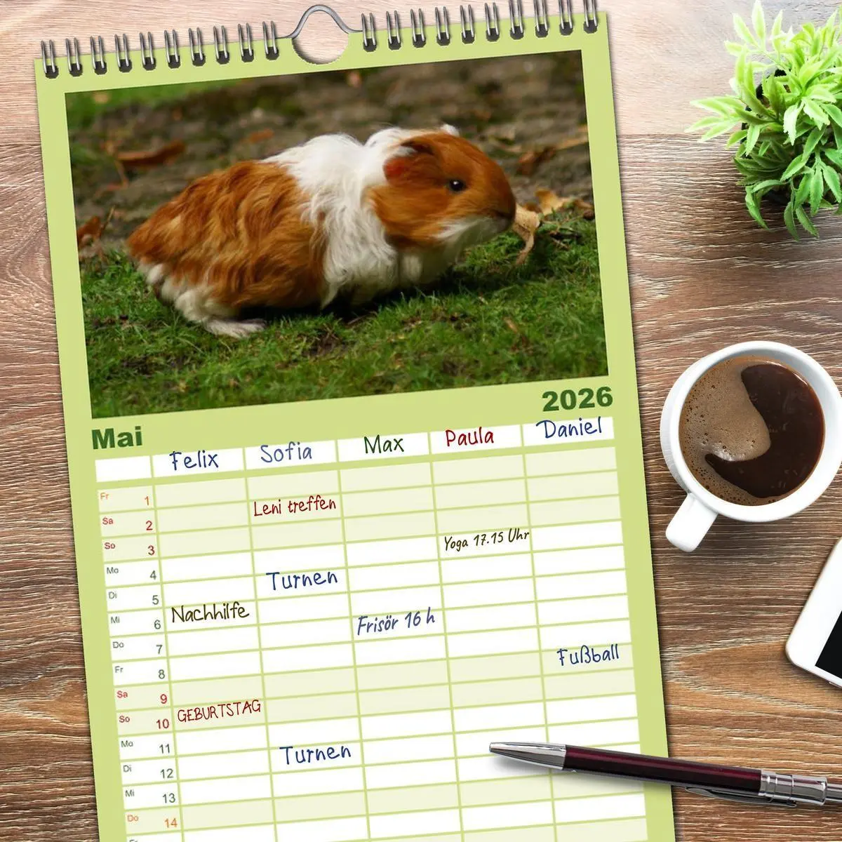 Bild: 9783516523317 | Familienplaner 2026 - Kuschelige Meerschweinchen mit 5 Spalten...